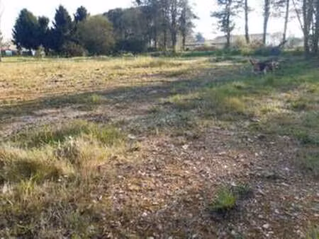 vente terrain à talmont-saint-hilaire (85440) : à vendre / talmont-saint-hilaire