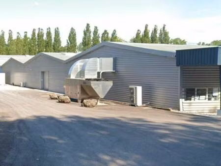 services entreprises