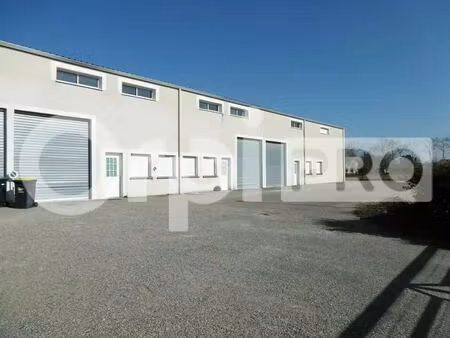 vente local d’activités montech 82700 300m²