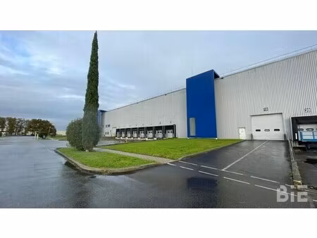 location entrepôt blanquefort 33290 15607m²