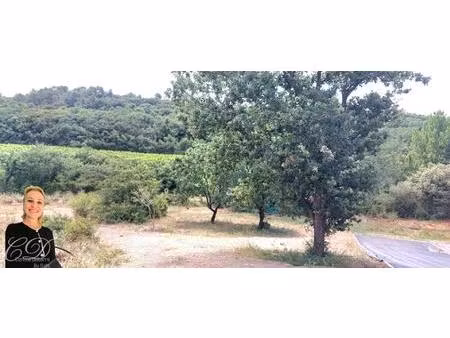 vue vignes