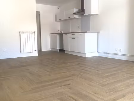 superbe t2 entièrement rénové au coeur d'orléans
