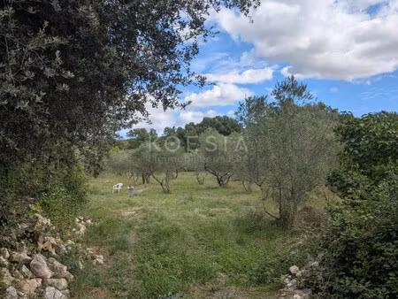 superbe terrain constructible à sauve