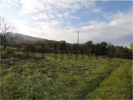 terrain constructible