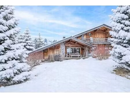 maison de luxe de 10 pièces en vente à demi-quartier  france