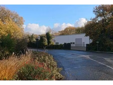 location local d'activités saint benoit 543 m²