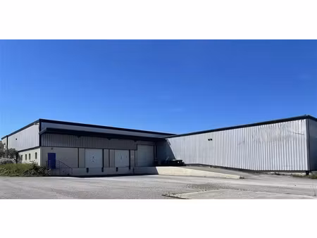 vente/location local d'activités villeneuve les maguelone 2 250 m²
