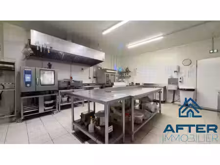 immobilier professionnel à vendre varangéville