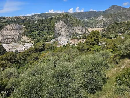 terrain