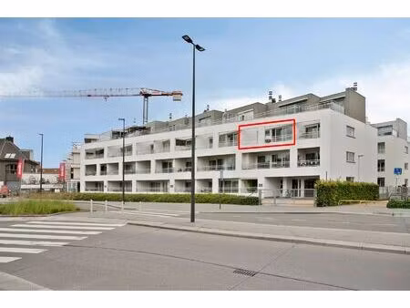 appartement te huur in waregem