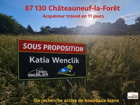 terrain constructible
