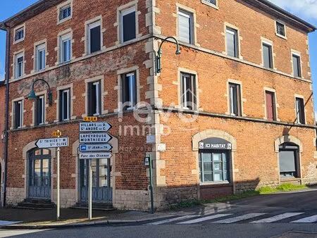 achat local professionnel 76m² amberieux en dombes 01330