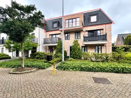 appartement te huur in oud-turnhout met 1 slaapkamer