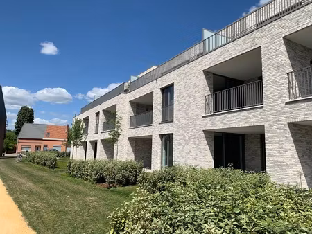 appartement te huur in dessel met 1 slaapkamer
