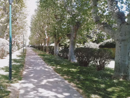 studio+jardin+parking
