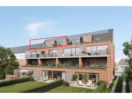 penthouse hartje laakdal