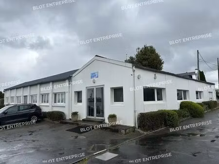 vente local d’activités locmiquelic 56570 3150m²