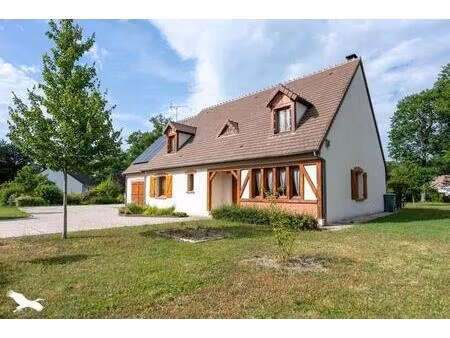 vente maison 6 pièces 200 m² nançay (18330)
