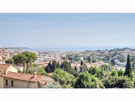 location appartement 3 pièces 76m² le cannet 06110