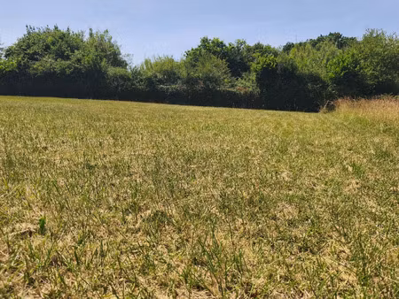 vente terrain 980 m² chaillevette (17890)