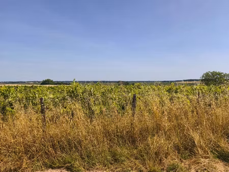 vente terrain 628 m² saint-augustin (17570)