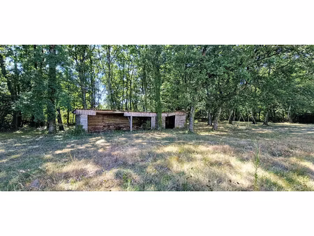 vente terrain 6710 m² saint-sulpice-de-royan (17200)