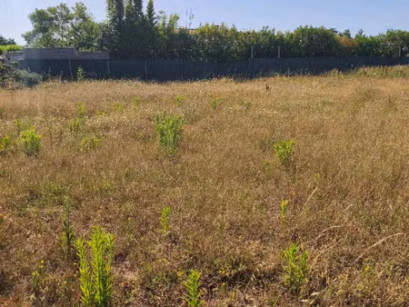 vente terrain 252 m² vaux-sur-mer (17640)