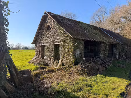 vente grange 1 pièce  50.00m²  jans