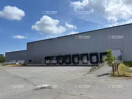location entrepôt logistique 13 664 m²
