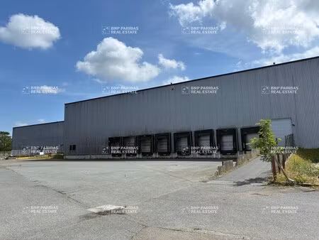 location entrepôt logistique ambarès-et-lagrave 33440 13664m²