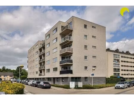 appartement te koop in hoboken met 3 slaapkamers