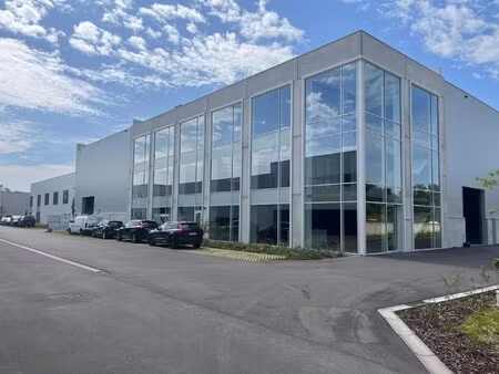 duffel: moderne kantoren van 560m² met 1.500m² magazijn