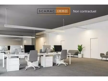 vente local d’activités ollainville 91290 367m²