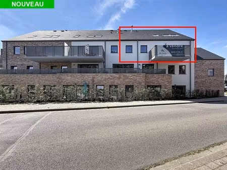duplex à vendre avec terrasse et 4 chambres   wavre (vbe36055)