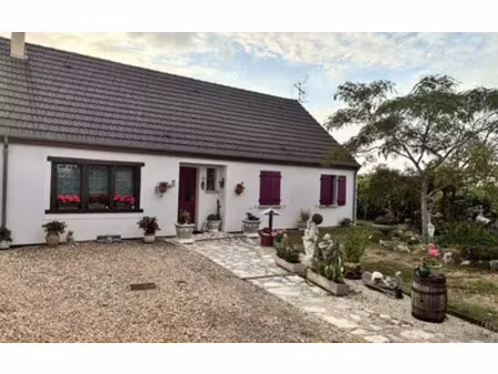 châtillon-sur-loire (45360)