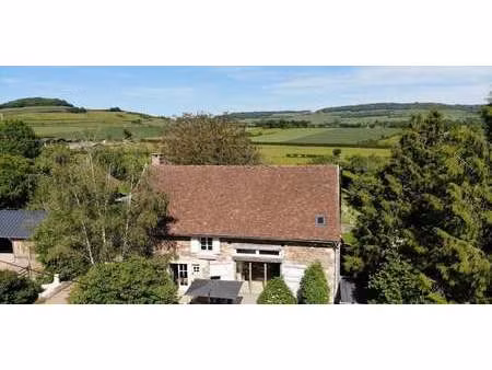 maison contemporaine avec jardin et terrasse la motte-ternant (21)
