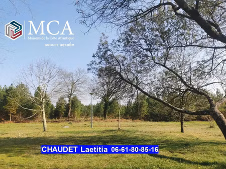 vente terrain 928 m² salaunes (33160)