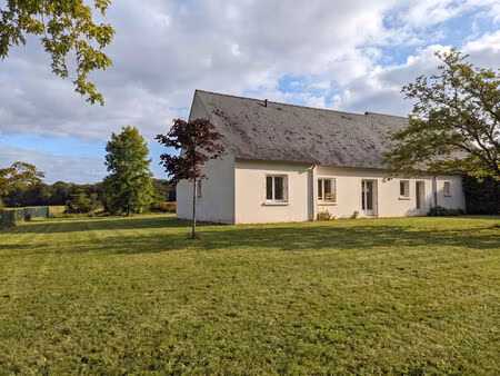 maison à vendre à civray de touraine - ensemble de deux habitations