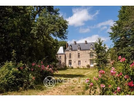 achat maison 9 pièces 370m² laval 53000
