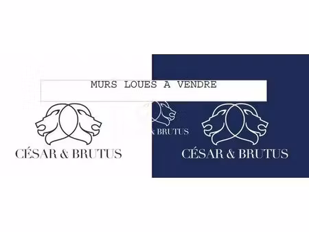 vente commerce lyon 69003 151m²