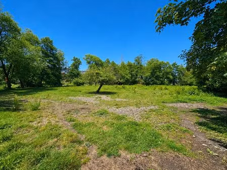 terrain à bâtir à vendre de 9148 m² à viroinval (vbe35972)