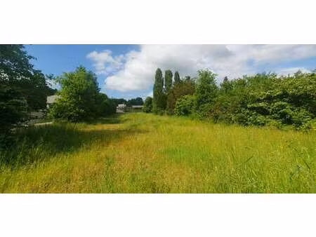 vente terrain à saint-hilaire-saint-florent (49400) : à vendre / 3200m² saint-hilaire-sain