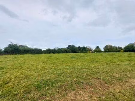 vente terrain à cossé-le-vivien (53230) : à vendre / 6419m² cossé-le-vivien