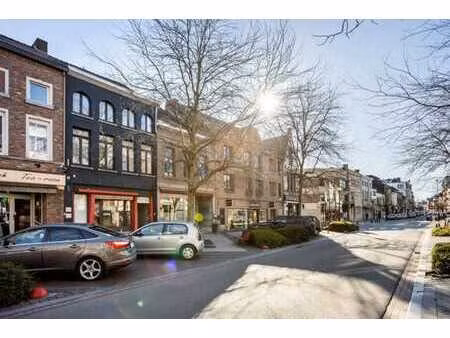 commercial avec résidence et une maison séparée à l'arrière!