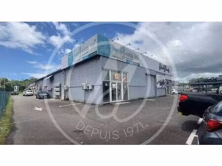 sn agence molinard immobilier