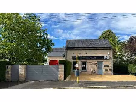 villa avec appartement indépendant et espace professionnel.