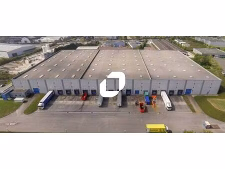 immprove grande activité & logistique