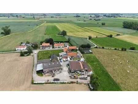 authentieke hoeve met ruime woning  loodsen en tal van mo...