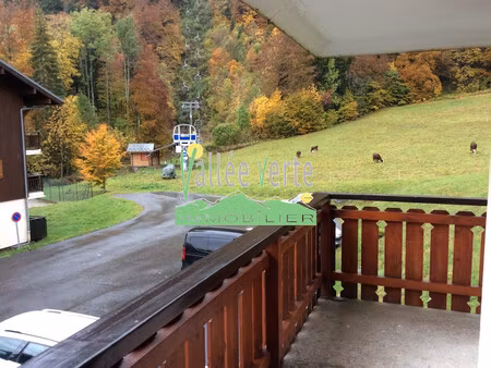 appartement t2 - bellevaux - pied des pistes