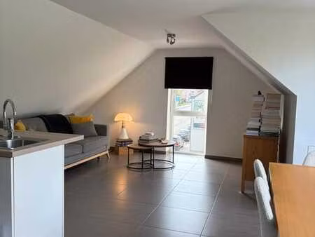 appartement récent(1ch) cadre verdoyant  le charme en +